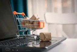 How to Use Your Credit Card Safely for Online Purchases